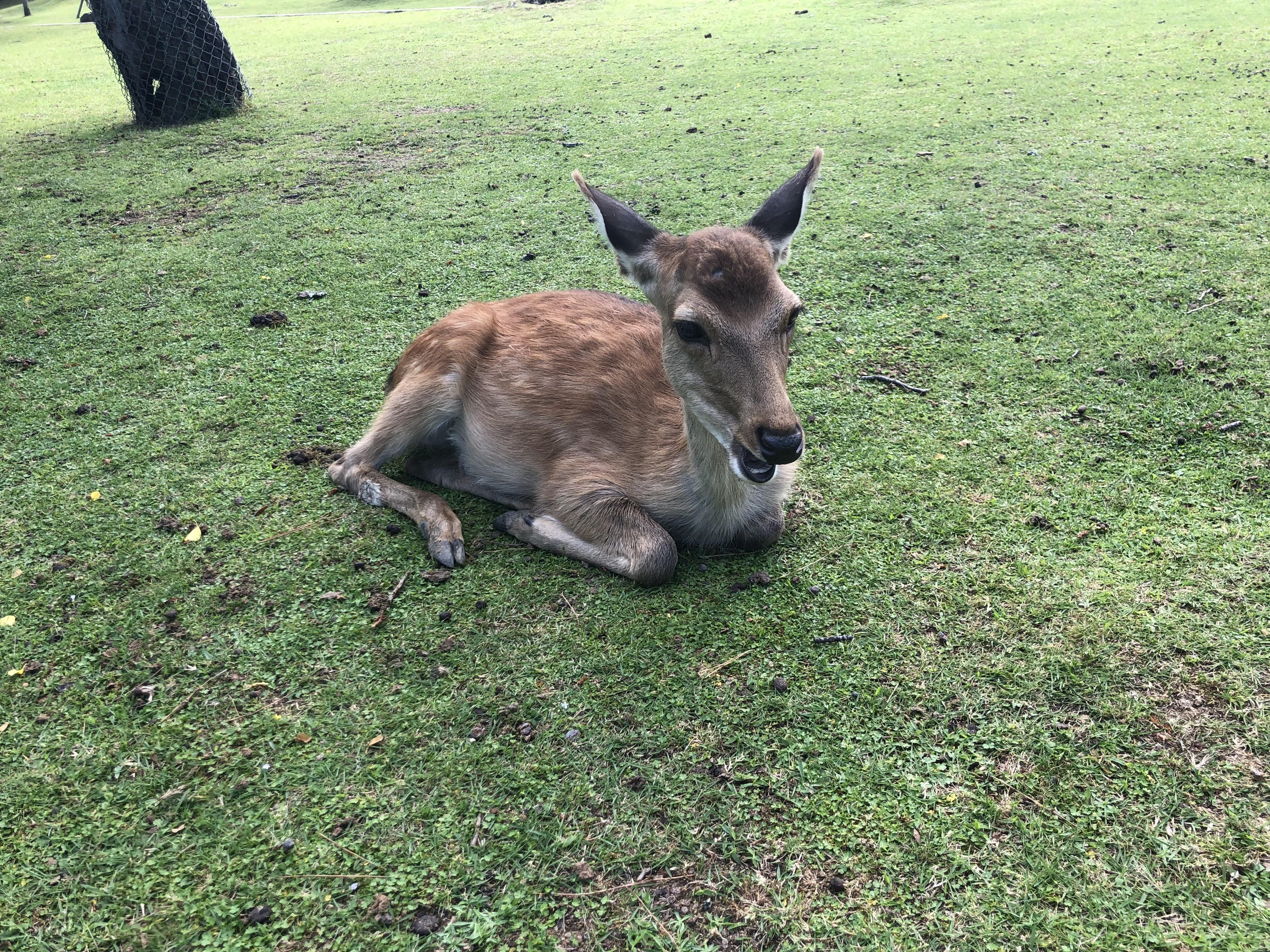 4483acc0-952b-4fb2-87d9-dad86c60211c