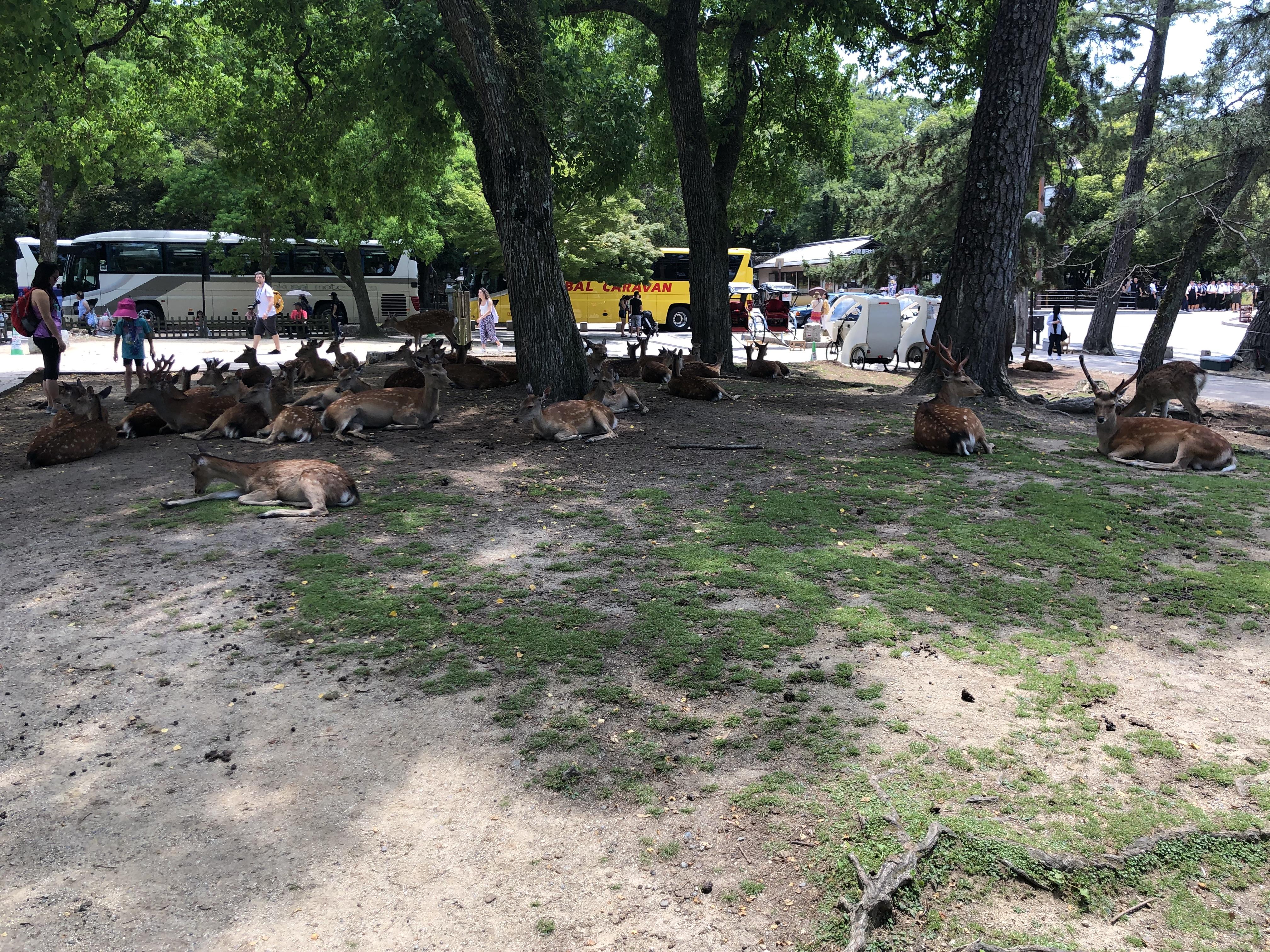 29e3146b-99d7-4c97-8cf3-da43b0291525