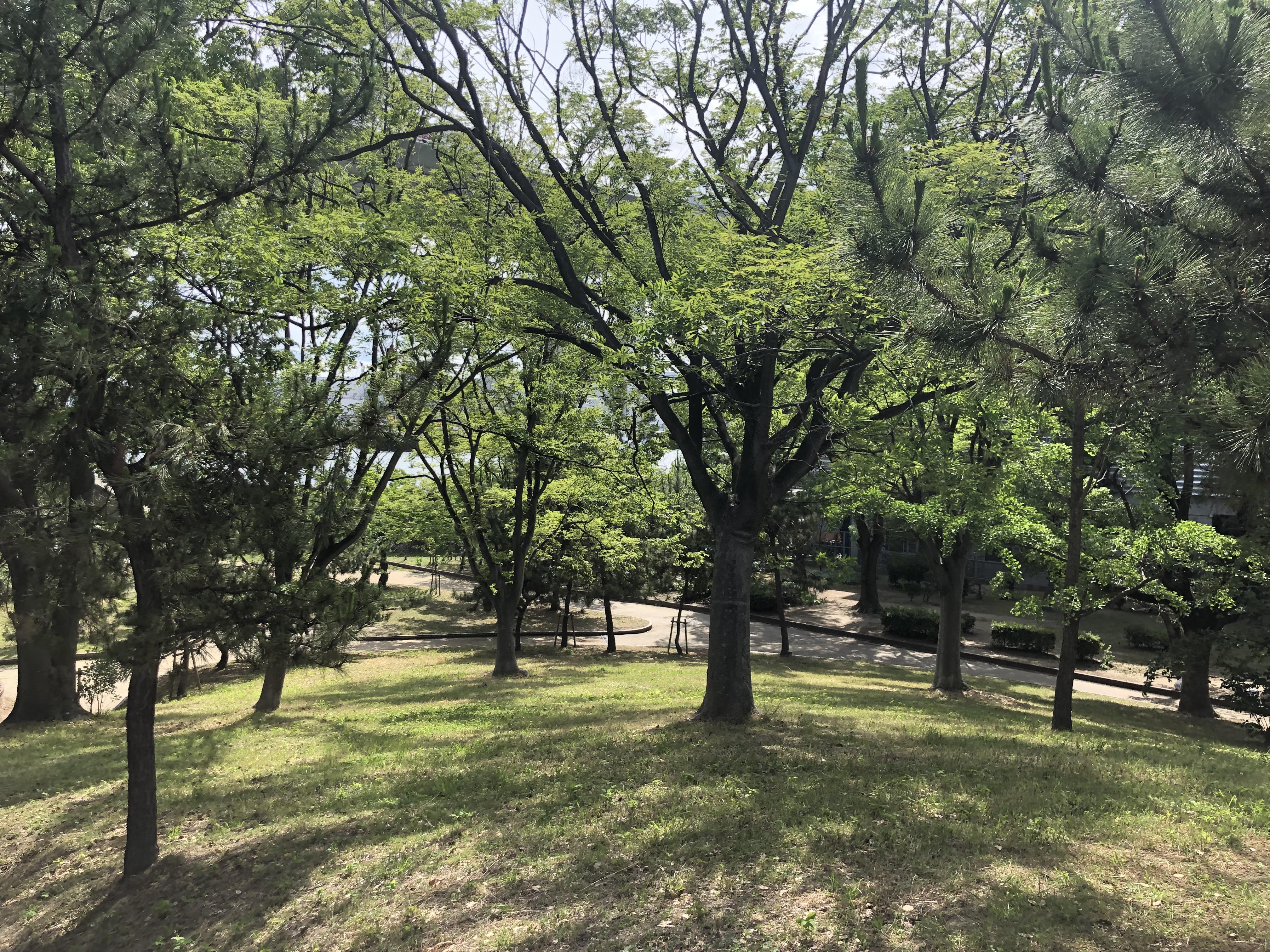 4205cbec-06bc-4a5c-8fe1-2da0c1127628