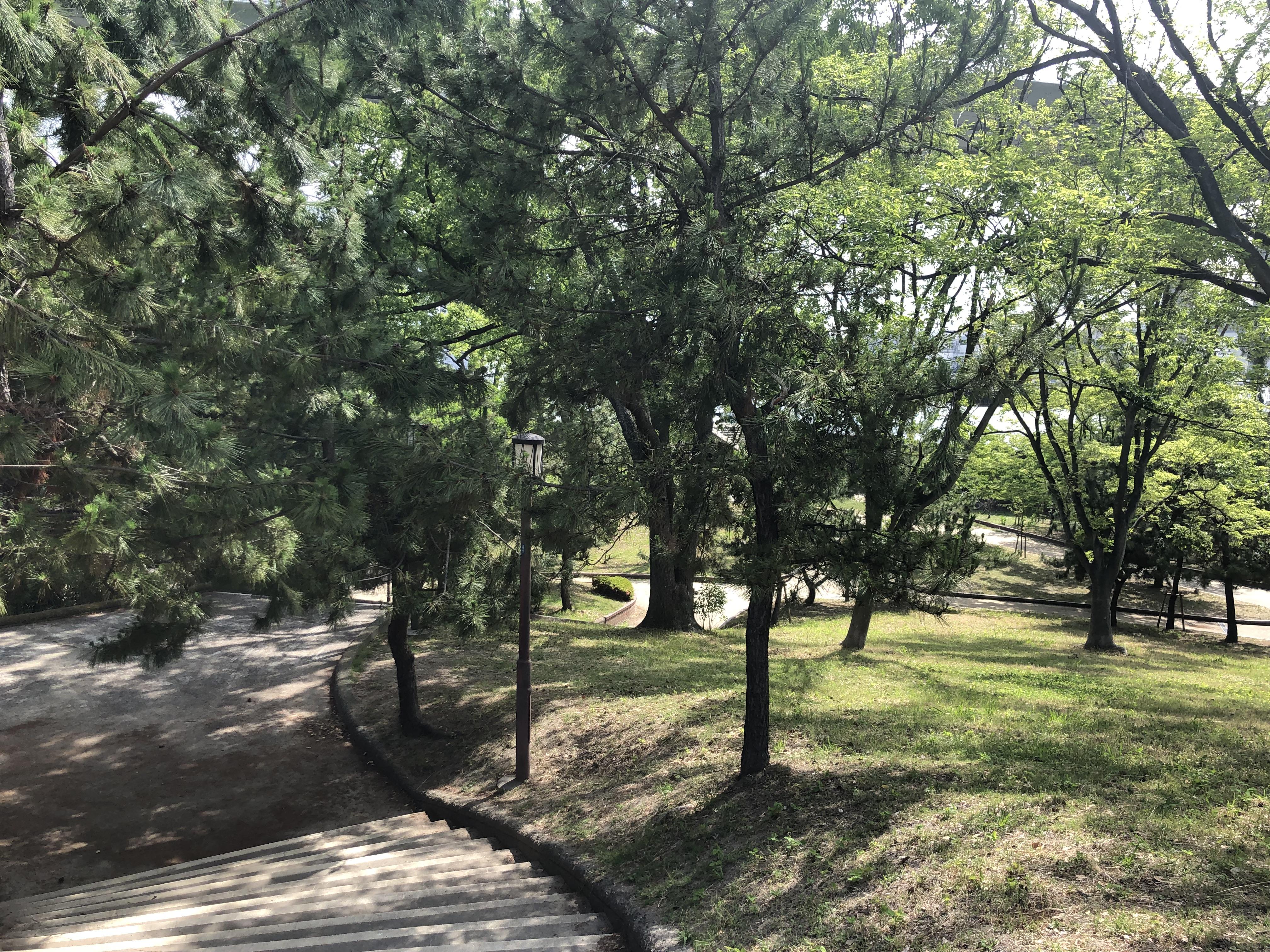 99e03c01-95c6-4a73-8d0e-78015ac60483