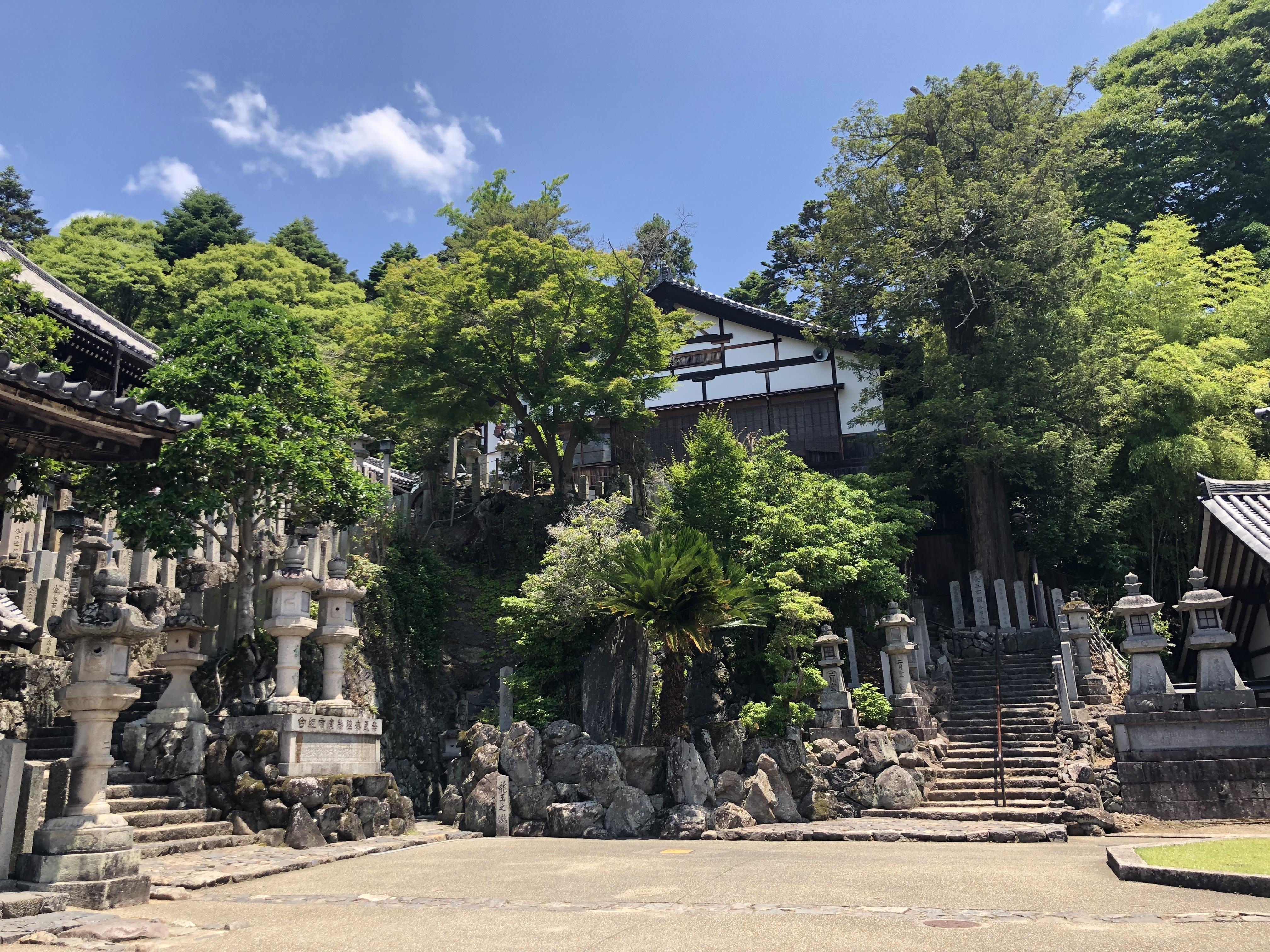 ce46e5cf-0419-457d-970e-77fdee4f1a1d