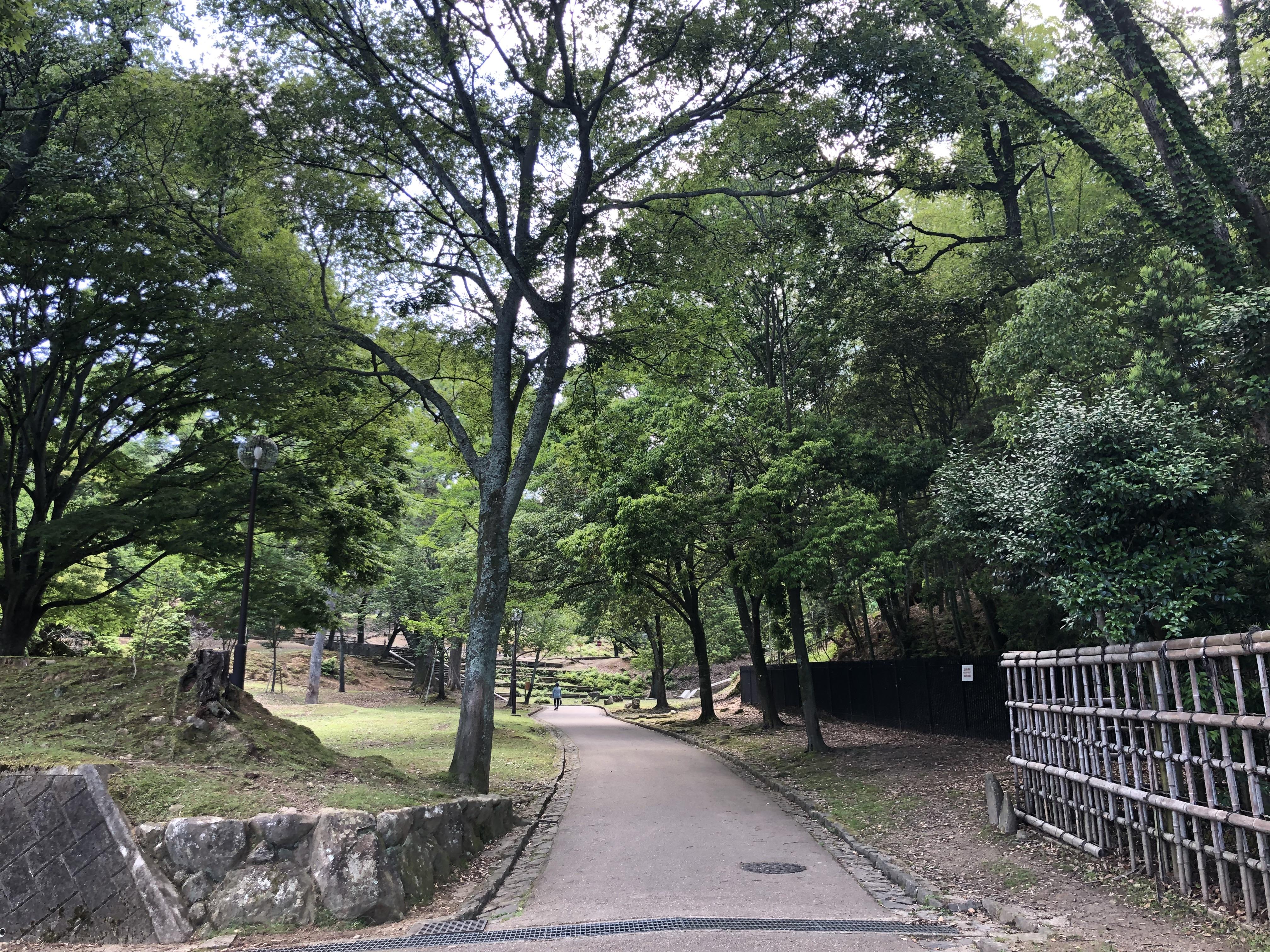 5c9a6385-37a3-4653-908c-3f3bf95d6a0a