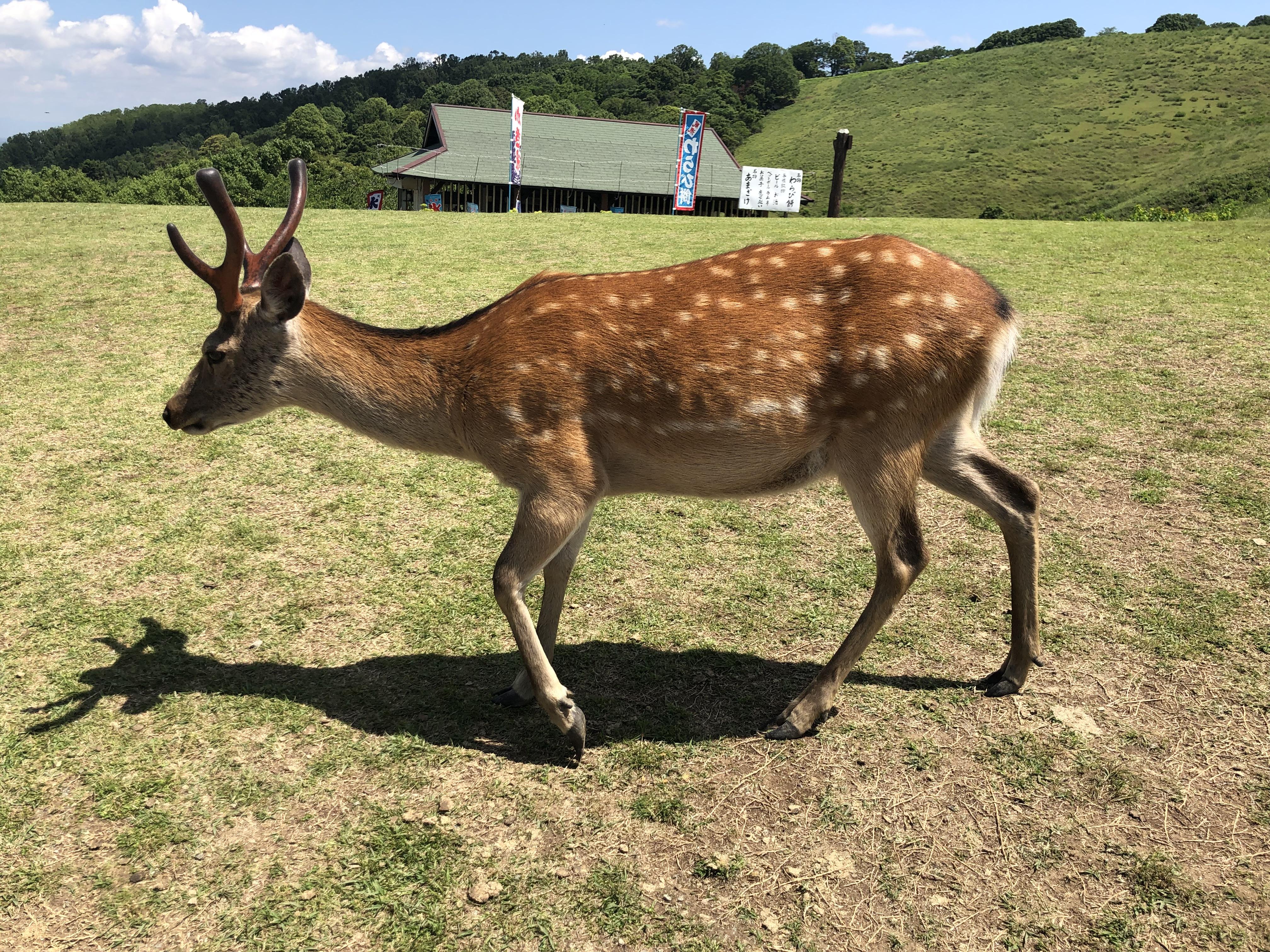 ac5b9ef6-f7ff-40d7-8c26-b04f05c483f9