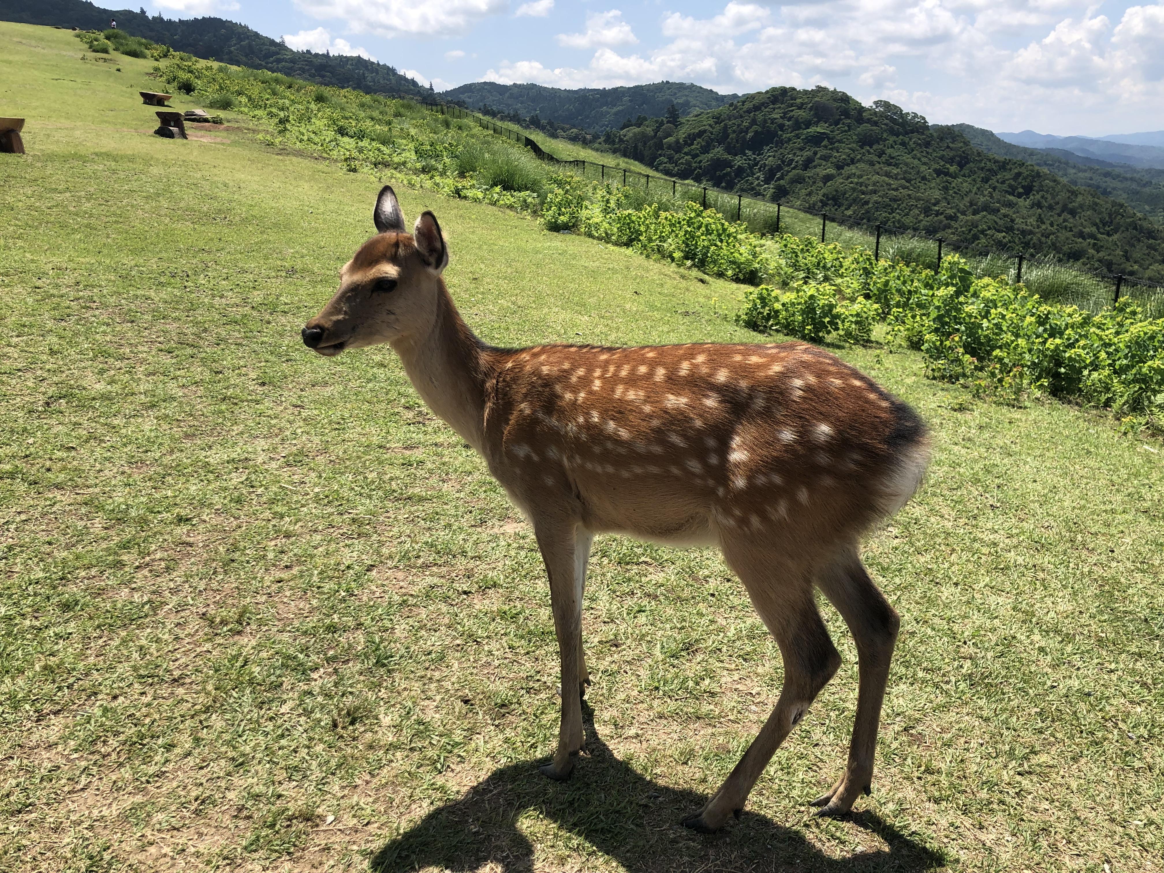 f56e0be3-0365-46fb-a5dc-4c6c7d60ccc6