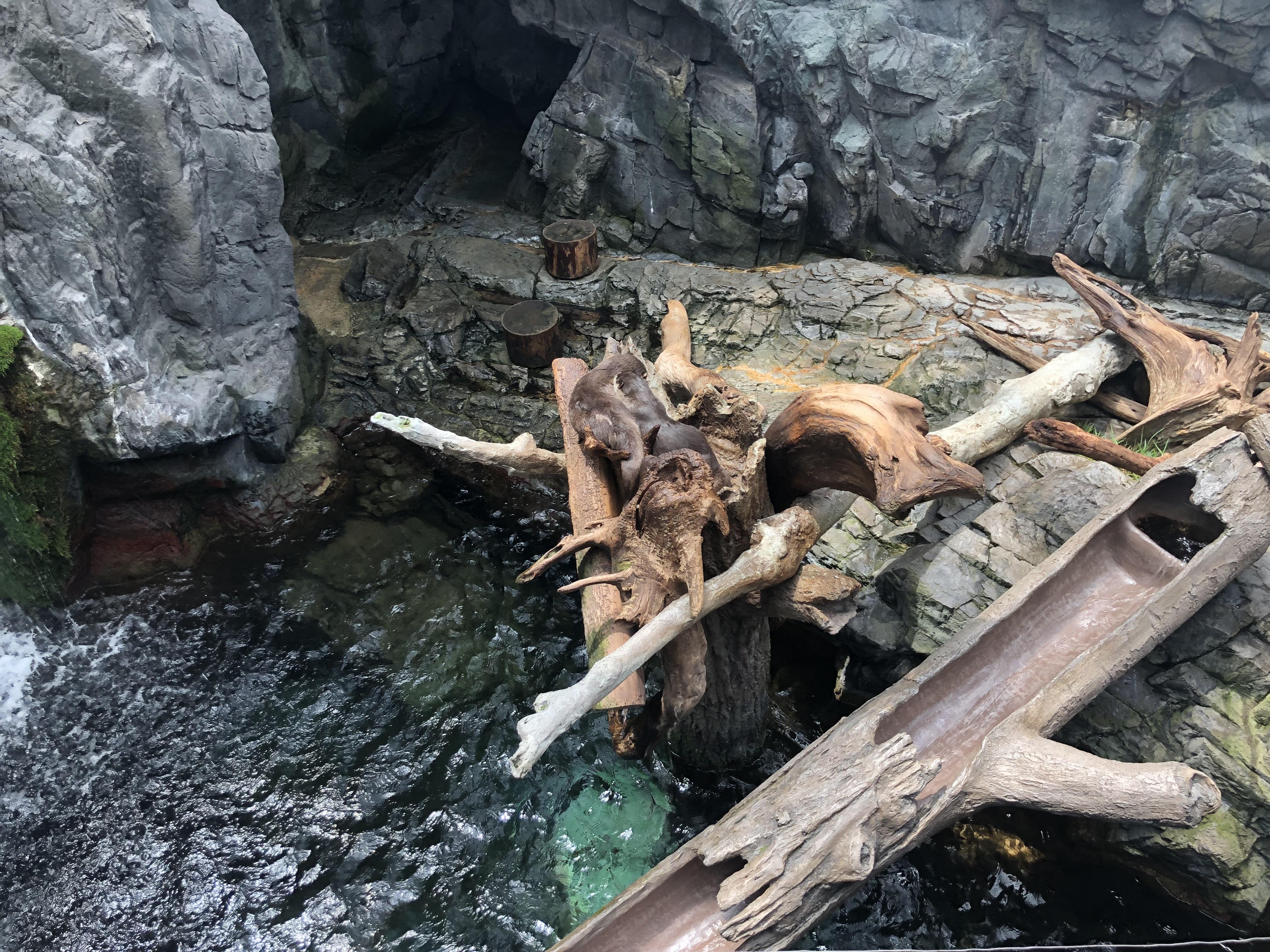 948271f7-adef-46e6-867b-f907dd7200b4