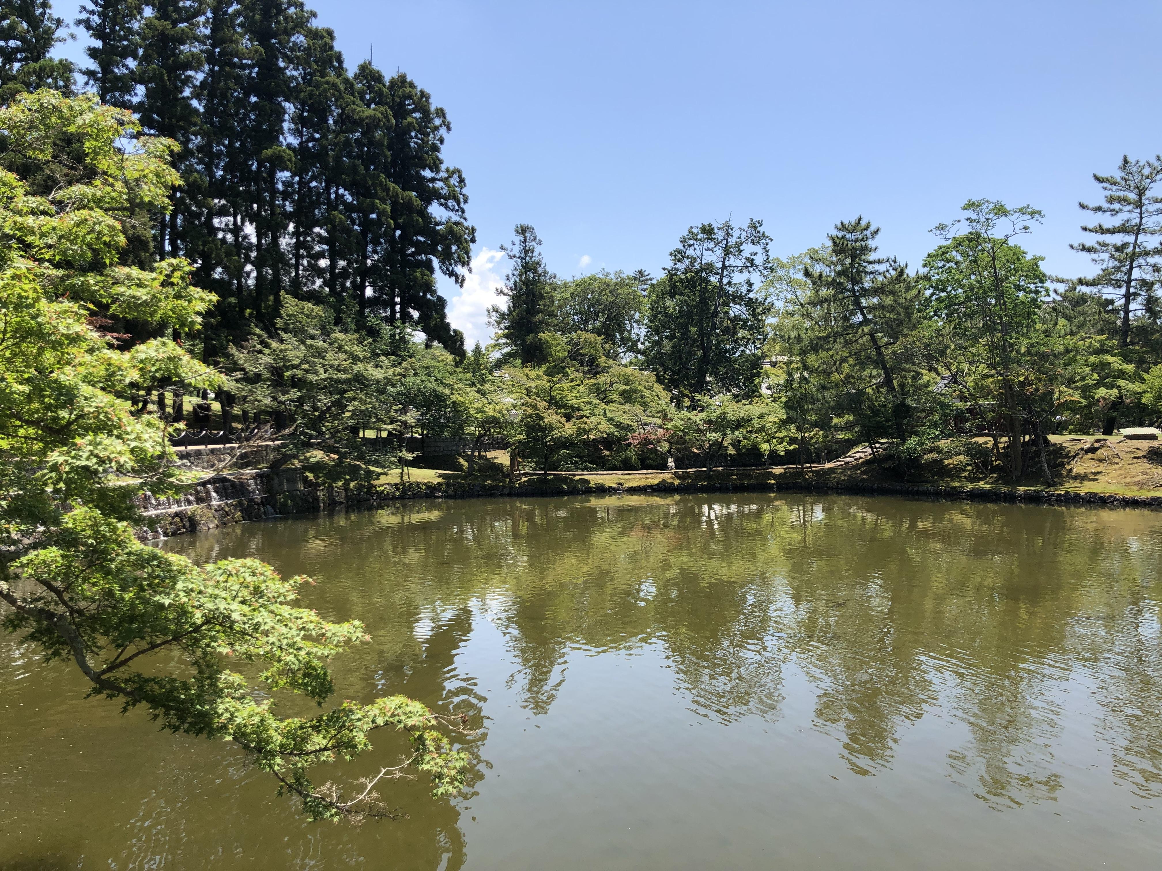 9f754e1f-d656-4564-83a7-d6ec914bfdfc