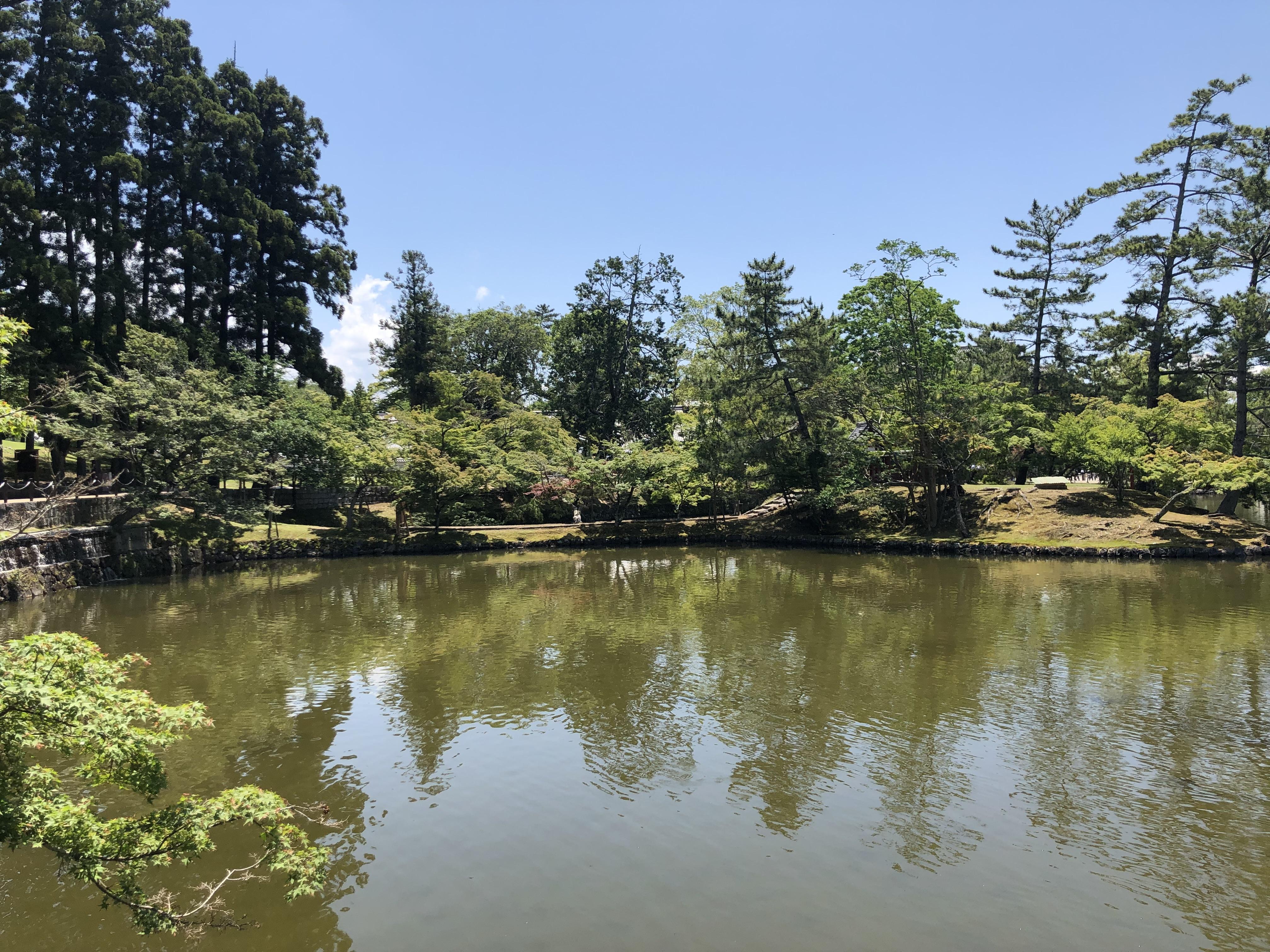 4900166f-2d9d-4553-9817-b46fc025800a